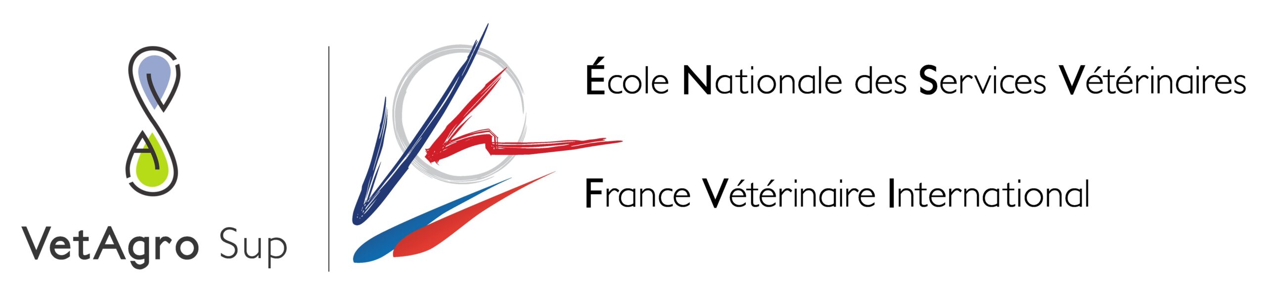 ENSV